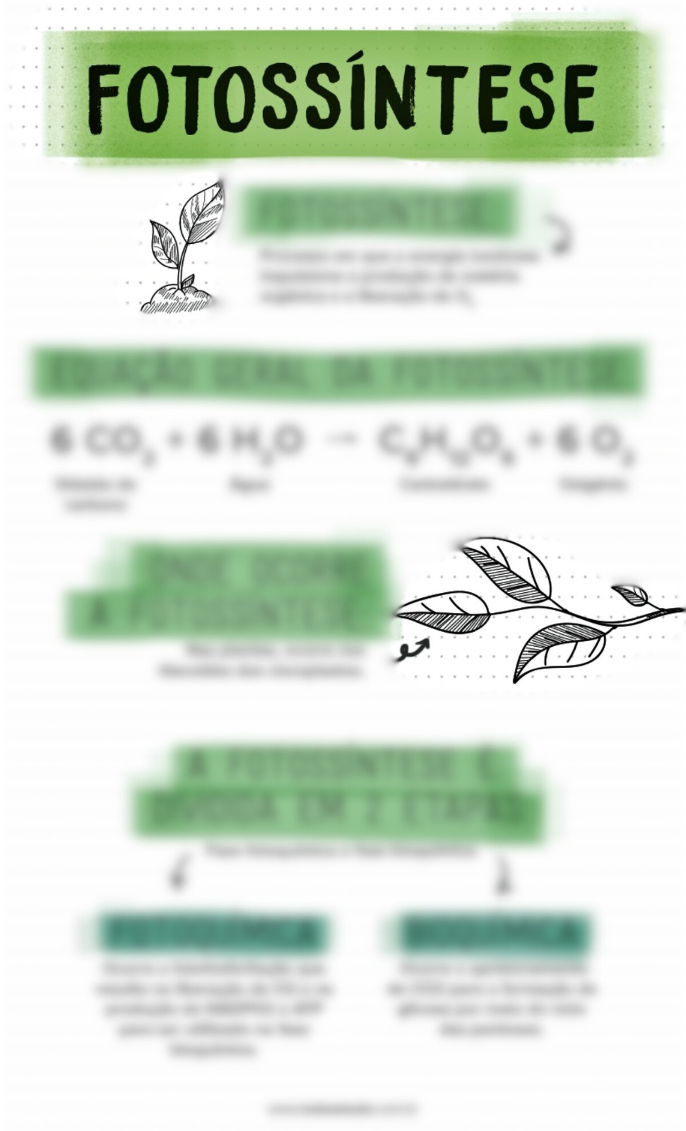 Material bônus do Checklist ENEM 2025